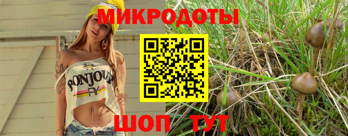 Псилоцибиновые грибы Magic Shrooms Ржев