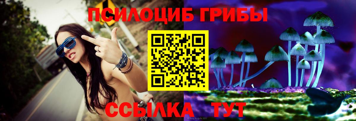 Галлюциногенные грибы MAGIC MUSHROOMS  Вход с VPN  Ржев 